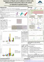 Expression of MyoD and M-Cadherin in C2C12 cells: differentiation induced by cell-to-cell contact vs reduction in growth factor