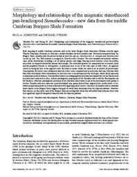 Morphology and relationships of the enigmatic stenothecoid pan-brachiopod Stenothecoides: new data from the middle Cambrian Burgess Shale Formation