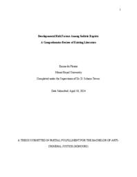 Developmental risk factors among sadistic rapists: a comprehensive review of existing literature