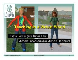 Teaching in a Virtual World