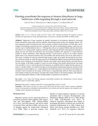 Hunting exacerbates the response to human disturbance in large herbivores while migrating through a road network