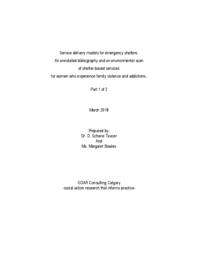 Service delivery models for emergency shelters: An annotated bibliography and an environmental scan of shelter-based services for women who experience family violence and addictions