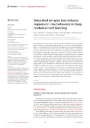 Simulated synapse loss induces depression-like behaviors in deep reinforcement learning