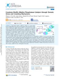 Cosolutes Modify Alkaline Phosphatase Catalysis through Osmotic Stress and Crowding Mechanisms