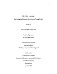 The cyber pandemic : exploring the financial sextortion of young males