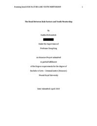 The bond between risk factors and youth mentorship