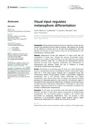 Visual input regulates melanophore differentiation